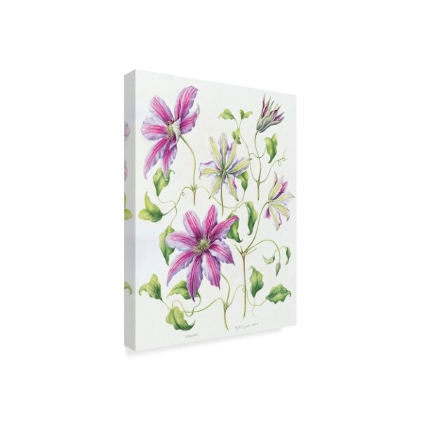 Janneke Brinkman-Salentijn 'Clematis' Canvas Art,18x24